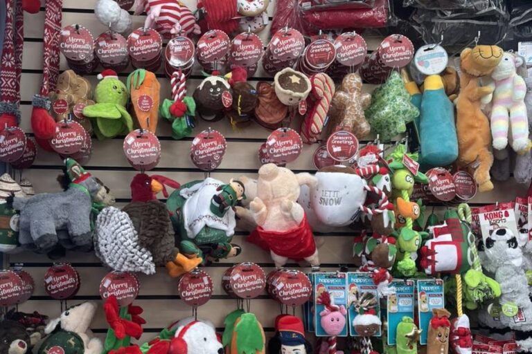 Pet Shops In Cromer Norfolk