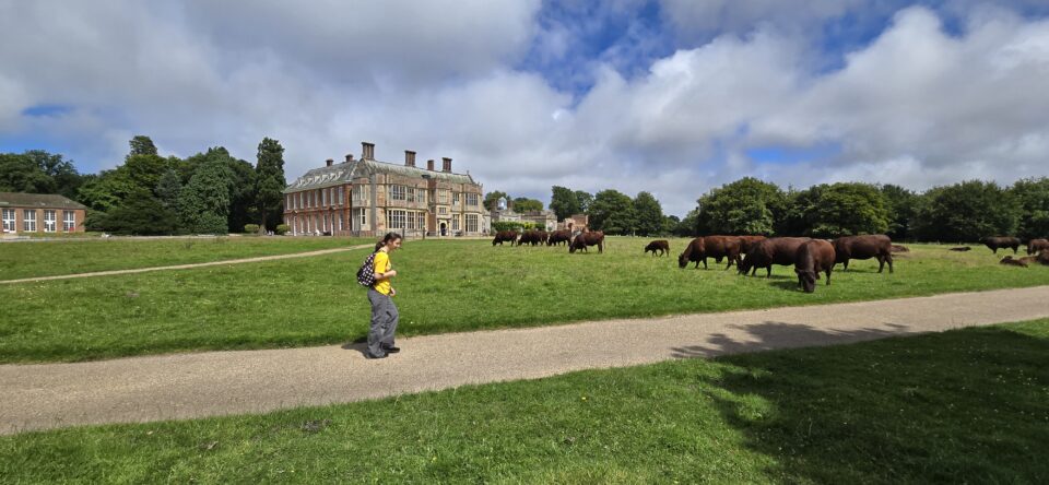 Explore – Visit Cromer